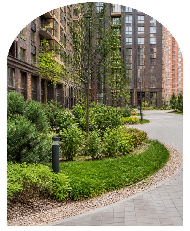 Заказать озеленение двора в Батайске по цене от 25303 р. | Метпроект-Бтс