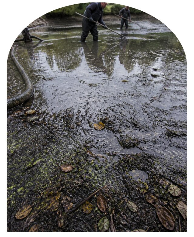 Очистка пруда в Батайске от ила мусора и водорослей с вывозом